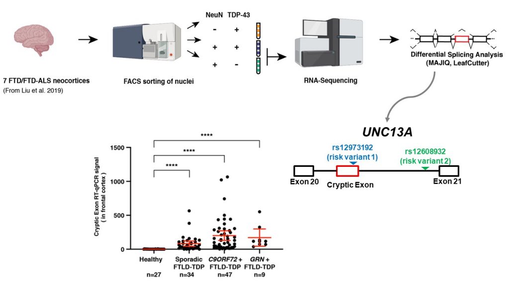 教室HP用UNC13A論文紹介 Figure-1