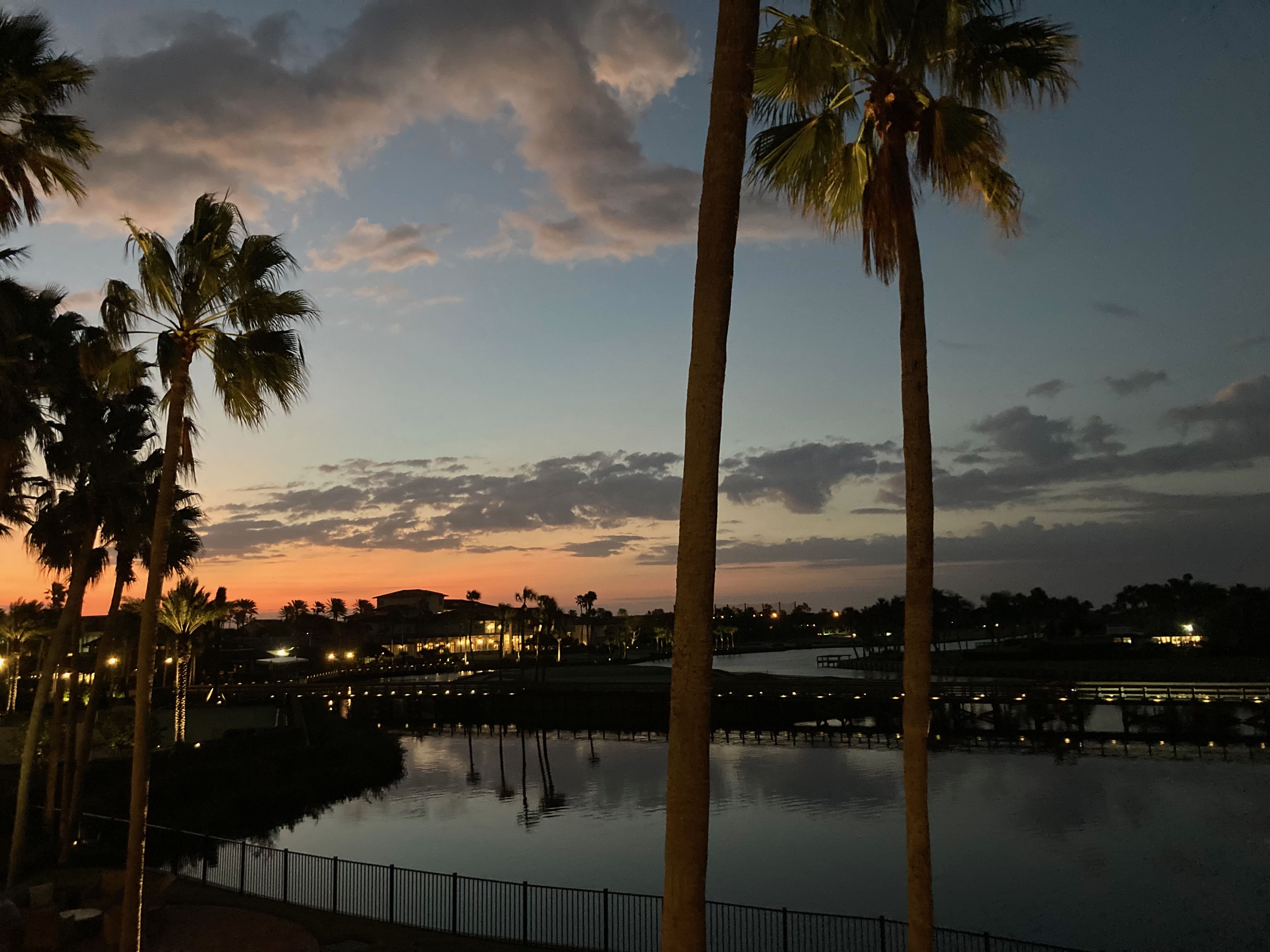 メイヨークリニックのPetrucelli博士の研究室を表敬訪問しました ニュース 新潟大学脳研究所 脳神経内科